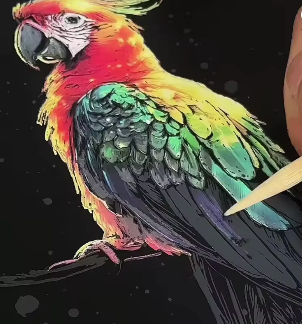 PPA- Colorful Night Scratch Art -4 Different models