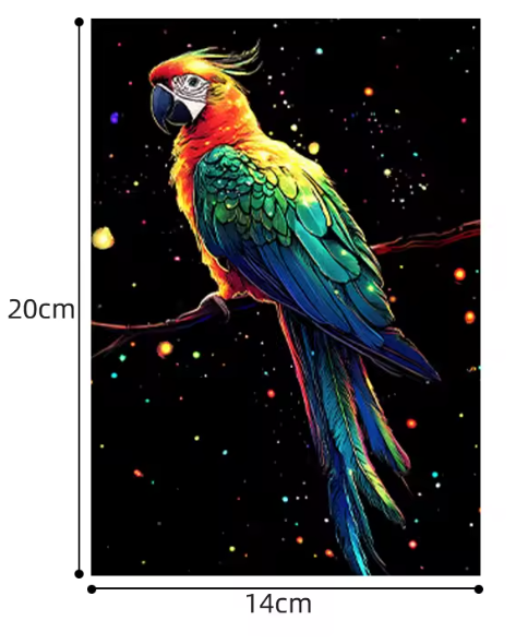 PPA- Colorful Night Scratch Art -4 Different models